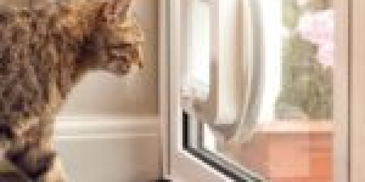 30 Inspirational Quotes On Skilled Pet Door Installer